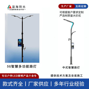 藍海LED路燈002